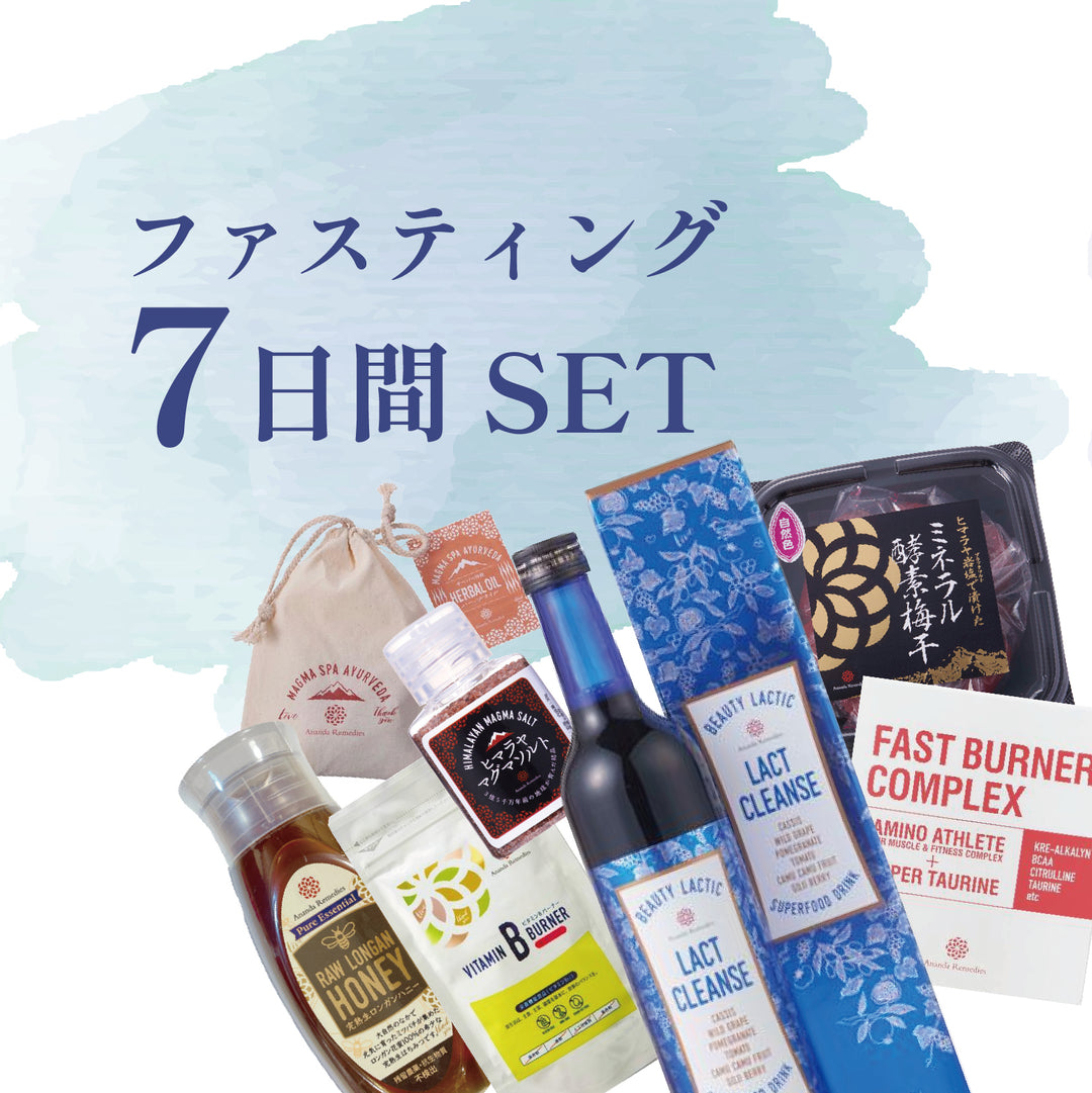 ラクトクレンズ+マグマソルト+マグマスパ+サポートサプリ+ガイドブック ラクトクレンズ+マグマソルト+マグマスパ+サポートサプリ+ガイド